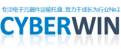 CYBERWIN